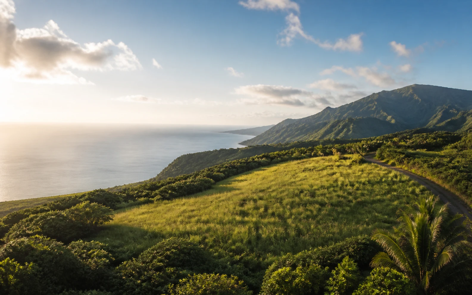 AI-generated conceptual aerial of a fictional undeveloped tropical hillside parcel