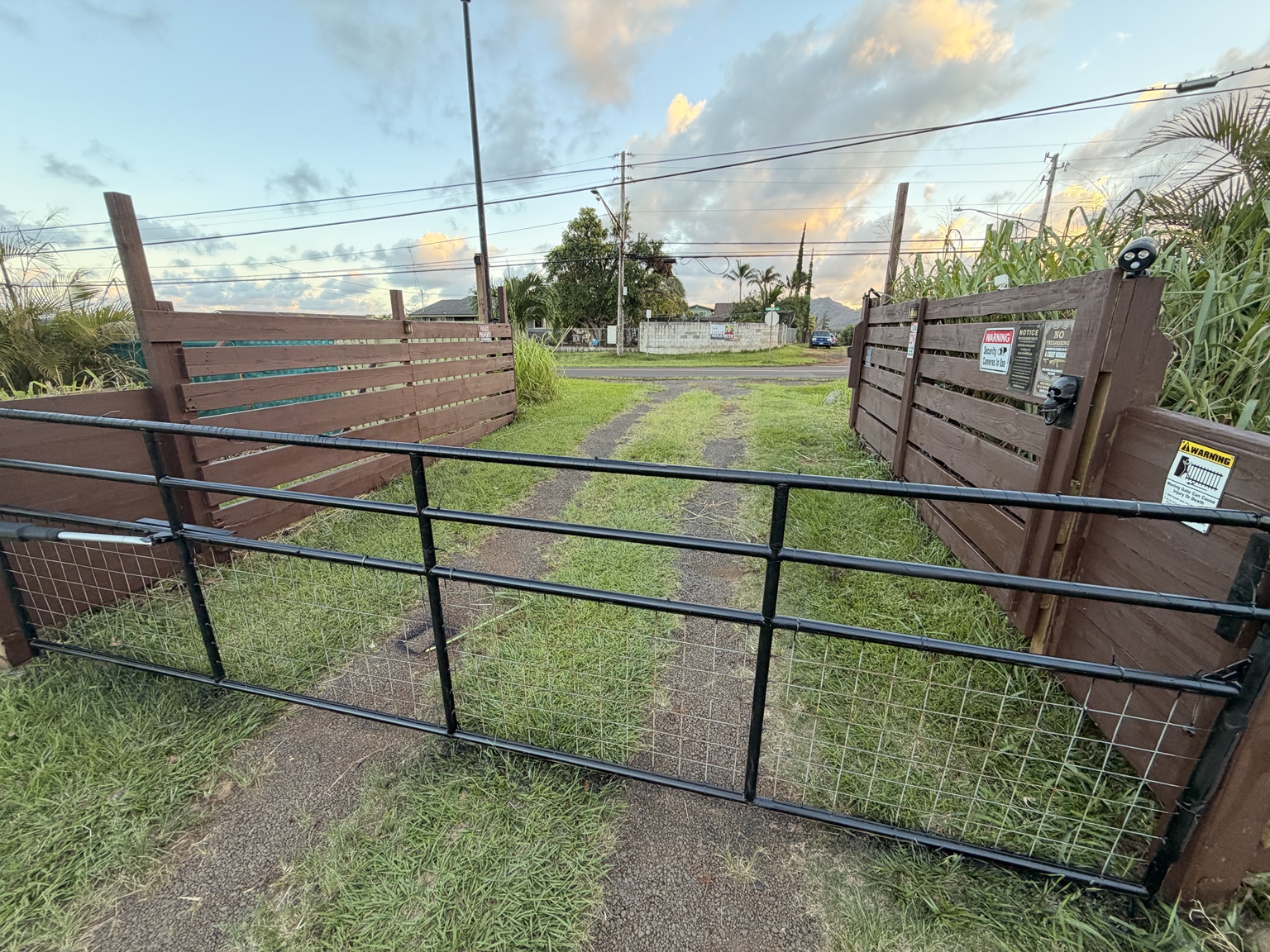 Black metal driveway gate with wire mesh between timber fence posts
