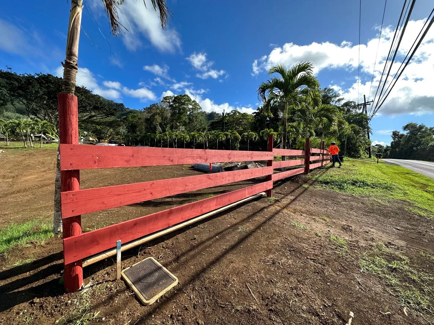 Red ranch fence beside a tree-lined Kauaʻi road