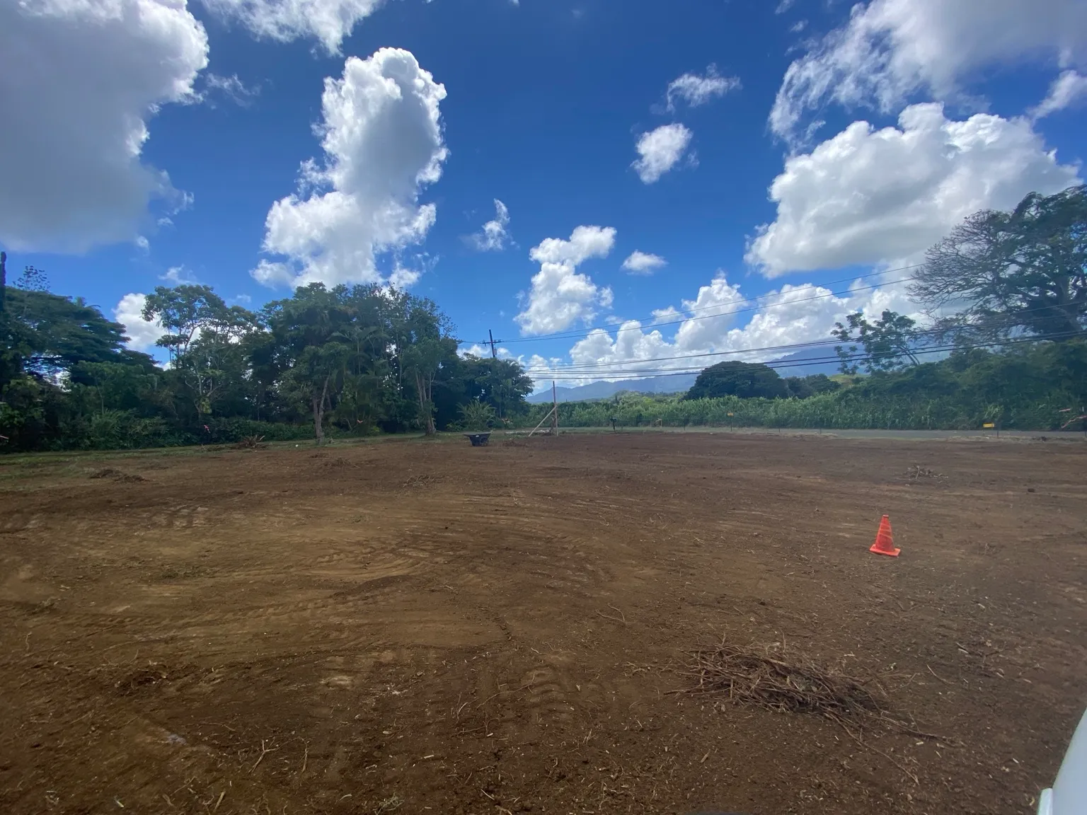 Open cleared site with exposed ground and trees retained around the perimeter