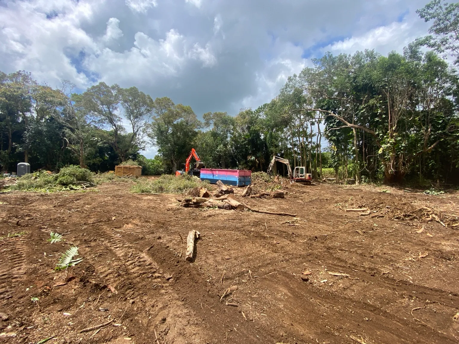 Excavators and a debris container on a site during clearing