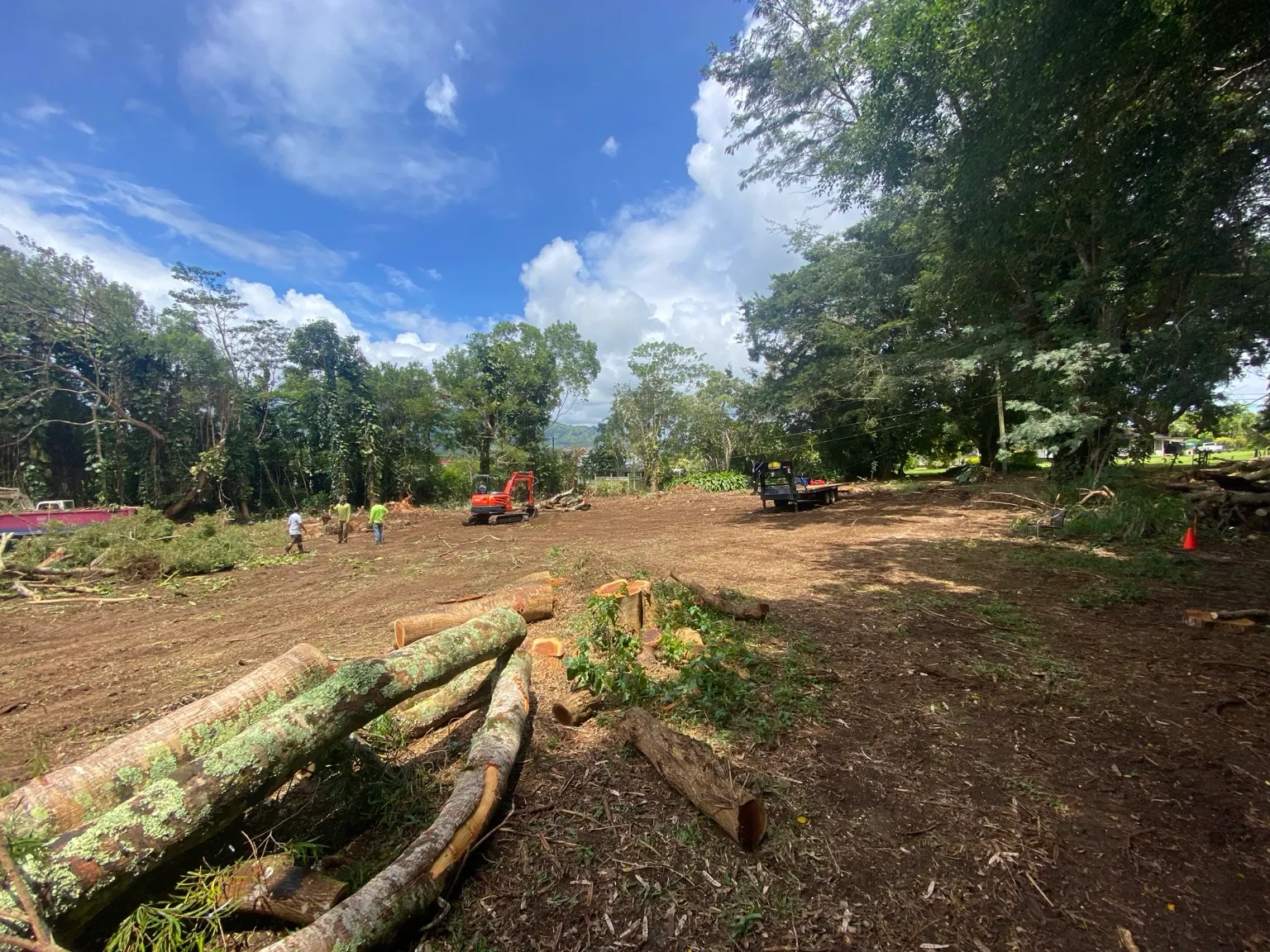 Clearing crew and excavator on an opened site with stacked logs